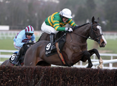 APmccoy2