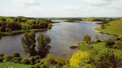 Photo of Tourism in Limerick